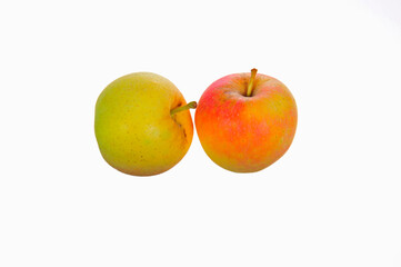 Apples on a white background