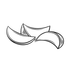 Mango sections in pile outline icon vector illustration. Hand drawn line heap of tropical fruit cut in ripe pieces and slices, vintage sketch of fresh ripe juicy mango, summer sweet natural dessert