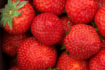 Close Up Strawberries At Amsterdam The Netherlands 17-9-2022