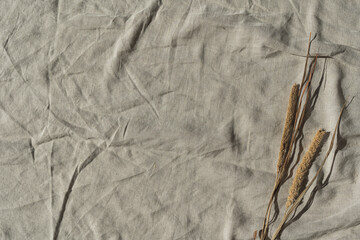 Dried pampas grass bouquet with shadows on crumpled beige linen blanket. Aesthetic minimal floral composition