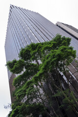 View of the ELUMA building in Paulista Avenue, one of the most important avenues in São Paulo, Brazil