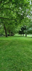 Fototapeta na wymiar path in the Windsor Park