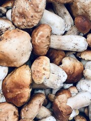 mushrooms on a wooden table