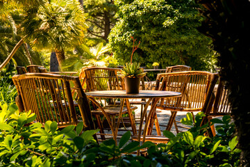 Cozy seating area under palm trees with tropical style handmade bamboo furniture and comfortable bamboo chairs with a table decorated with a potted succulent illuminated by sun on a idyllic terrace.