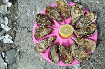 Tray with a dozen fresh sea oysters and yellow lemon  at the fish market