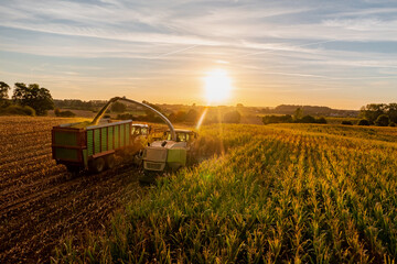 Drone view of combine harvester at harvest, during sunset.