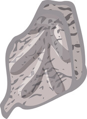 Set of stones seashells and plants Hand drawn ocean shell or conch mollusk scallop Sea underwater animal fossil Nautical and aquarium, marine theme. Vector illustration