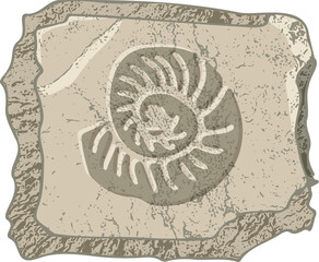 Set of stones seashells and plants Hand drawn ocean shell or conch mollusk scallop Sea underwater animal fossil Nautical and aquarium, marine theme. Vector illustration © zzayko