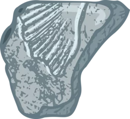Behangcirkel Set of stones seashells and plants Hand drawn ocean shell or conch mollusk scallop Sea underwater animal fossil Nautical and aquarium, marine theme. Vector illustration © zzayko