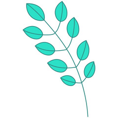 Obraz premium leaf botanical floral