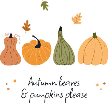 Postcard with quote Autumn leaves and pumpkins please. Vector warm and cozy hygge collection of autumn stickers and illustrations in cartoon style.