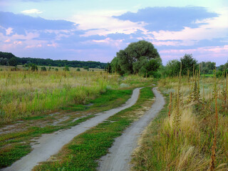 Fototapeta na wymiar Dirt road in the field in the evening. Nature of the countryside in Ukraine