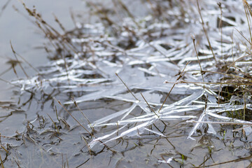Panoramic view of the National Park. Panoramic view of the National Park in winter covered with snow and ice.