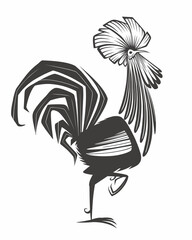 black and white rooster © sense