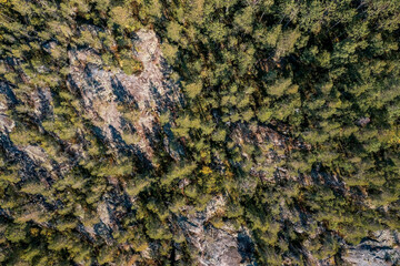 Top down aerial view of rocky area sparsely overgrown with pines and birches, Karelia, Russia