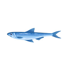 Fototapeta premium Anchovy vector illustration. Cartoon isolated small sea or ocean fish, single saltwater marine animal and fresh product of fishing, anchovy ingredient to cook traditional Mediterranean appetizer