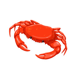 Crab vector illustration. Cartoon isolated seafood product and crustacean animal from sea or ocean beach with shell, claws and legs, single fresh marine crab for luxury restaurant menu on dinner © setory