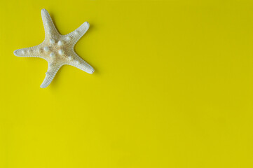 Fototapeta na wymiar Star fish on yellow background