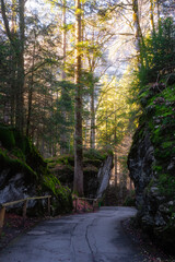 Blausee , entrance and pathway to beautiful nature lake in Bernese Oberland, Kandergrund during autumn , winter morning : Blausee , Switzerland : December 4 , 2019