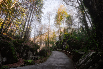 Obraz premium Blausee , entrance and pathway to beautiful nature lake in Bernese Oberland, Kandergrund during autumn , winter morning : Blausee , Switzerland : December 4 , 2019