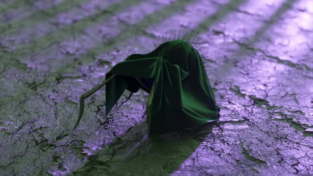 The concept of disguise. A black karakurt in clothes walks on dry ground. Black green mantle. Insect. 