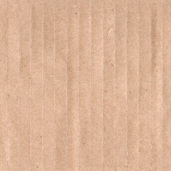 Fototapeta premium Kraft Paper Texture crumpled Background