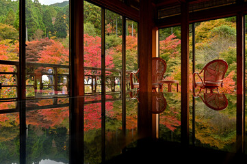 環境芸術の森の机に反射する紅葉