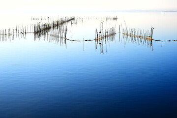 Lagoon with sticks and birds in sight, tradicional fishing in the lagoon os Valencia. Spain