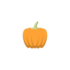 Pumpkin icon design template vector illustration