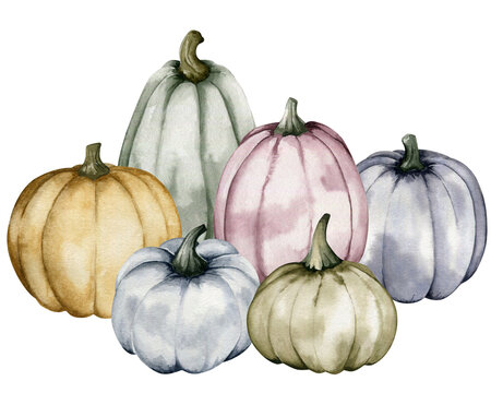 Beautiful set of watercolor pumpkins isolated on white background, botanical illustrations, autumn compositions, watercolor illustration, hand drawing