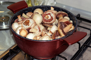 cooking mushrooms, champignons in a saucepan, cooking champignons