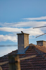 roof and chimney