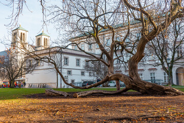 Mirabell Palace and Baroque Garden in old town of Salzburg during autumn , winter morning  : Salzburg , Austria : December 9 , 2019