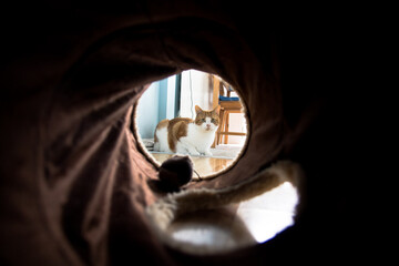 person in the keyhole