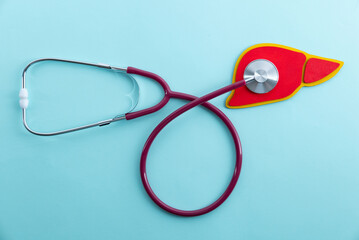 Red liver and stethoscope lies on a blue background