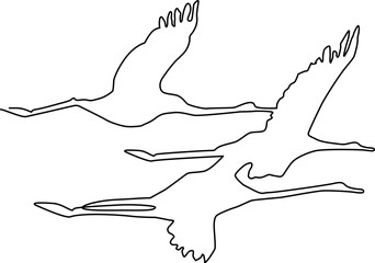 Obraz premium Flying birds Silhouette. Continuous line drawing. Vector illustration.