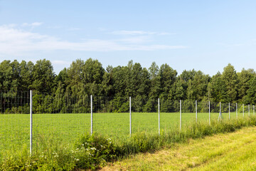 Fototapeta na wymiar Metal fences for animal protection