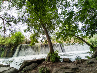 Fototapeta na wymiar Tree between waterfalls .Small waterfall in park