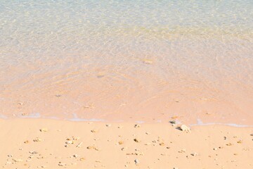 沖縄の海水浴場と砂浜の貝殻