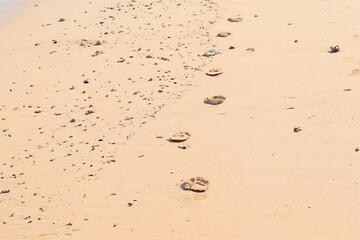 沖縄の海水浴場と砂浜