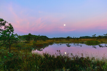 sunrise picture with a gorgeous sky, a marsh at sunrise, a moon setting in the sky, dark...