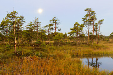 amazing sunrise picture with gorgeous sky, marsh at sunrise, magical morning in the marsh early in the morning