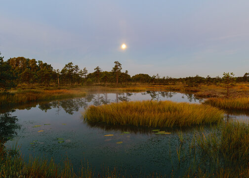 amazing sunrise picture with gorgeous sky, marsh at sunrise, magical morning in the marsh early in the morning