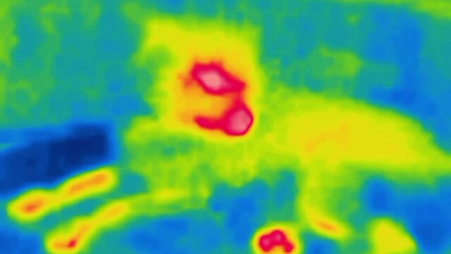 Yard chain dog as a watchdog, mongrel at night (to guard the master 's goods). Image from thermal imager device.