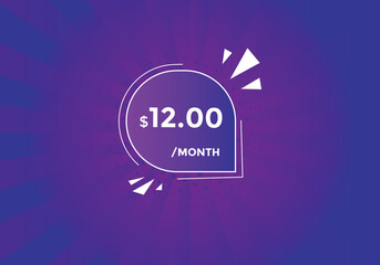 12 dollar price tag. 12$ dollar USD price symbol. price 12 Dollar sale banner in USD. Business or shopping promotion marketing concept
