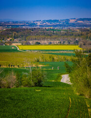 Fototapeta na wymiar Rapeseed (or oilseed) yellow field blooming during spring near Anneyron in Drome (France)