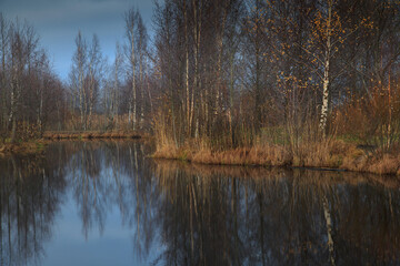 Fototapeta na wymiar Autumn landscape with a lake on a gloomy day.
