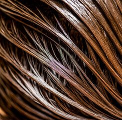 Beautiful wet long hair of a girl. Hair coloring in a beauty salon. Macro photography of women's...