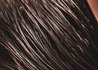 Beautiful wet long hair of a girl. Hair coloring in a beauty salon. Macro photography of women's hair. Concept of hair care.