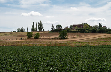 Fototapeta na wymiar Rural scene over the green agriculture fields around the village Lubbeek